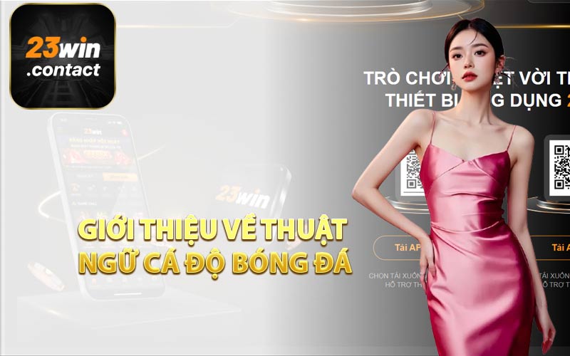 Giới Thiệu Về Thuật Ngữ Cá Độ Bóng Đá