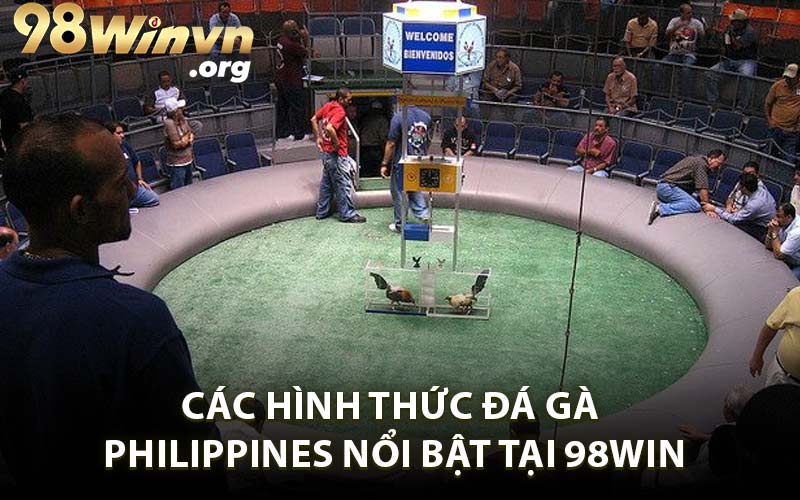 Các Hình Thức Đá Gà Philippines Nổi Bật Tại 98WIN