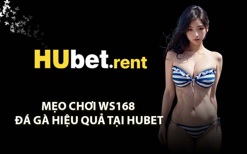 Mẹo chơi WS168 Đá Gà hiệu quả tại HUBET