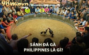Sảnh Đá Gà Philippines Là Gì?