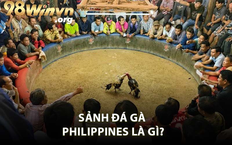 Sảnh Đá Gà Philippines Là Gì?