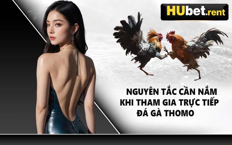 Nguyên tắc cần nắm khi tham gia trực tiếp đá gà Thomo