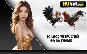 Sơ Lược Về Trực Tiếp Đá Gà Thomo