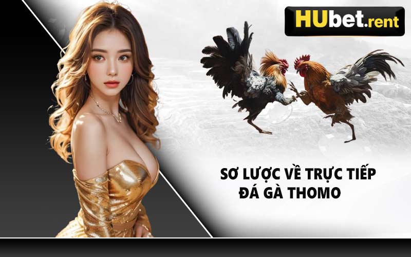 Sơ Lược Về Trực Tiếp Đá Gà Thomo